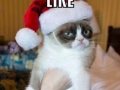 My sentiments exactly