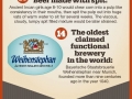 Beer Facts