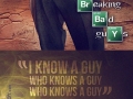 Breaking Bad Guys