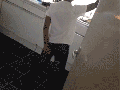 Caught dancing