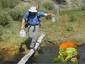 Blanka trolling