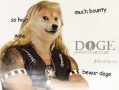 Doge the Bounty Hunter