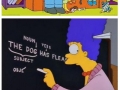 Things Simpsons taught us