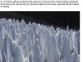 Cool natural phenomenons