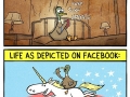 Life vs Facebook