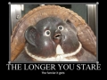 The longer you stare..