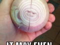 Plotting onion