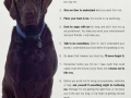 10 Canine Commandments