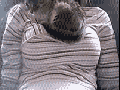 Best kitten bed ever