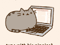 Cat typing with n*pples