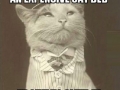 Aristocat at his finest
