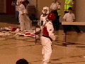Taekwondo competition