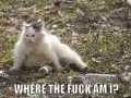 Where the f**k am I?!