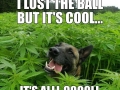 Dude, where's my ball?