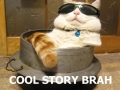 Cool Story