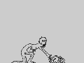 Evolution of humans