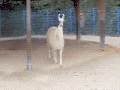 Too fabulous for you