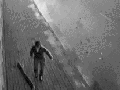 Dodging cars like a pro