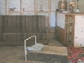 Dog going for sleep