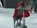 The hero that we deserve
