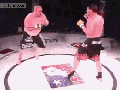 UFC Ultimate Kick