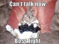 Boss Fight!