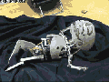 A newborn baby robot