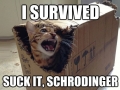 I survived!