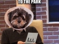 If my dog could talk