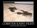 Lobster Knight Fight