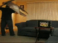 Wall! Help me!