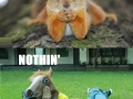Watcha thinkin about?