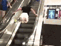 Up up and away!