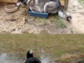 Dammit Moon-moon!