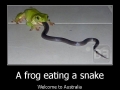 Welcome to Australia