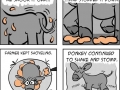 What a cute donkey