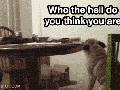 What did you say?!