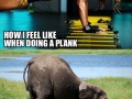 Doing a plank