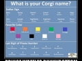 What is your corgi name?