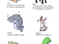 Animals' resolutions