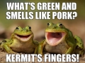 Two Happy Frogs