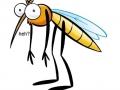 Mosquito diet