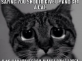 To all the single ladies