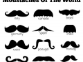 Which moustache is yours?