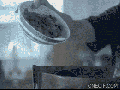 Infomercial fails