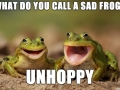 Laughing frogs