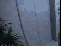 Japanese prank show