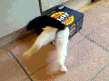 Stuck in the box