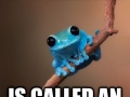 Tiny Fact Frog