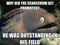 Scarecrow promotion